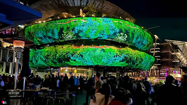 BarangarooProjection 01