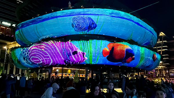BarangarooProjection 04