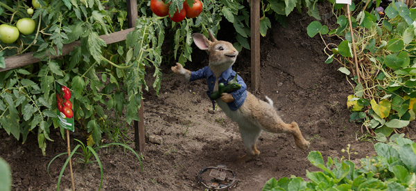 Animal logic peter rabbit8a