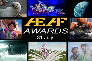 Aeaf Awards ticket 2